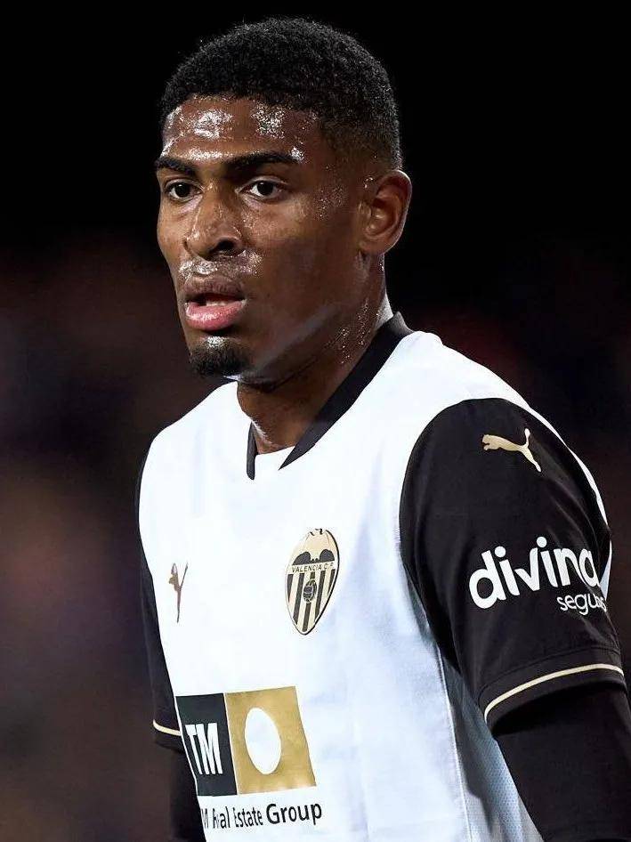 世界女排联 世界女排联