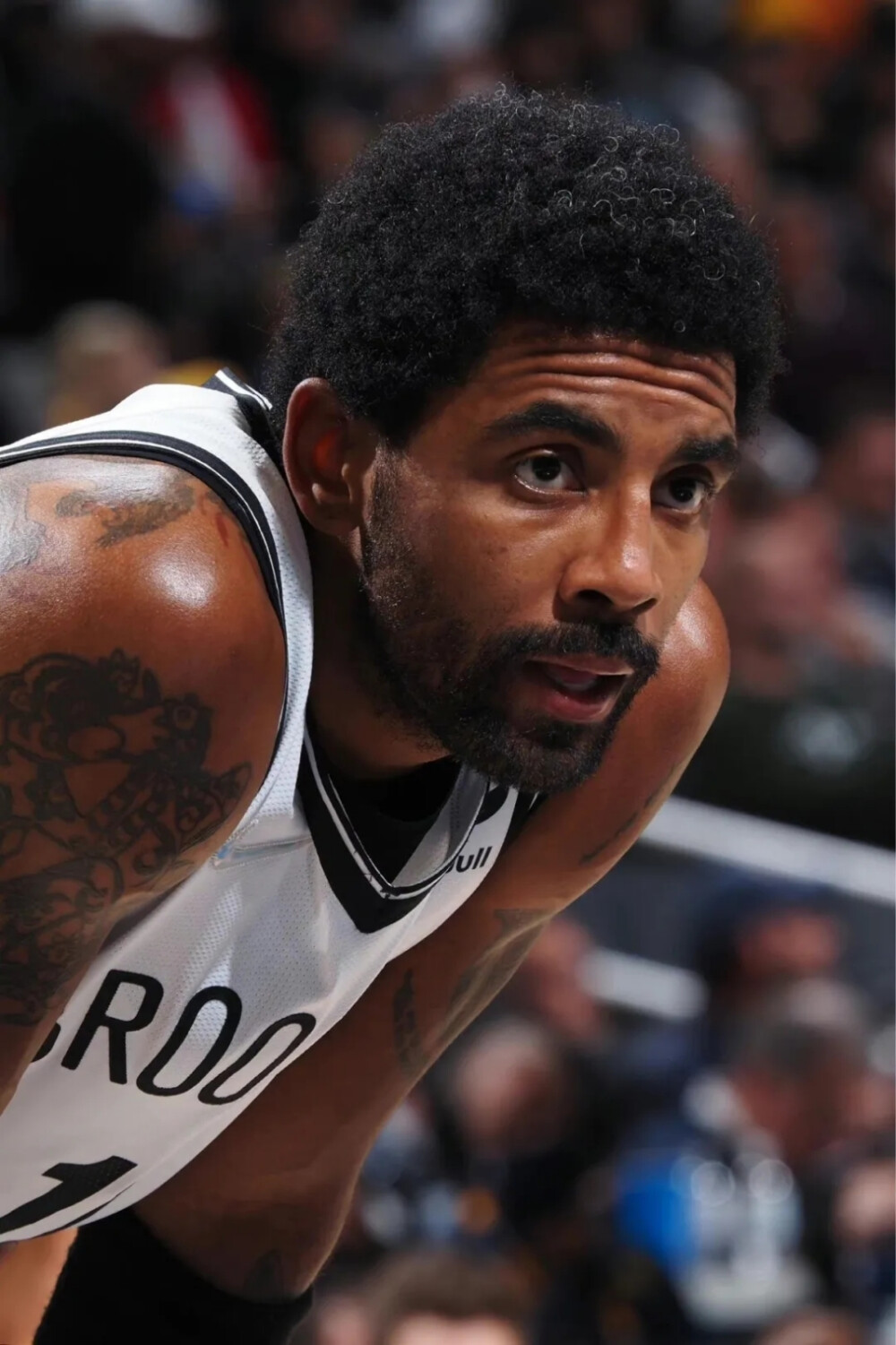 对此展开了 对此展开了